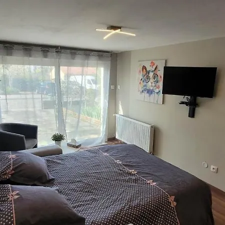 Studio Chaleureux Avec Parking Gratuit Vandœuvre-lès-Nancy Extérieur photo