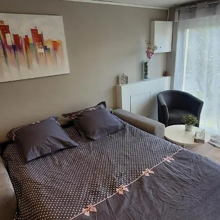 Studio Chaleureux Avec Parking Gratuit Vandœuvre-lès-Nancy Extérieur photo