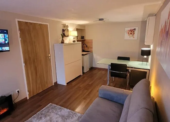 Studio Chaleureux Avec Parking Gratuit