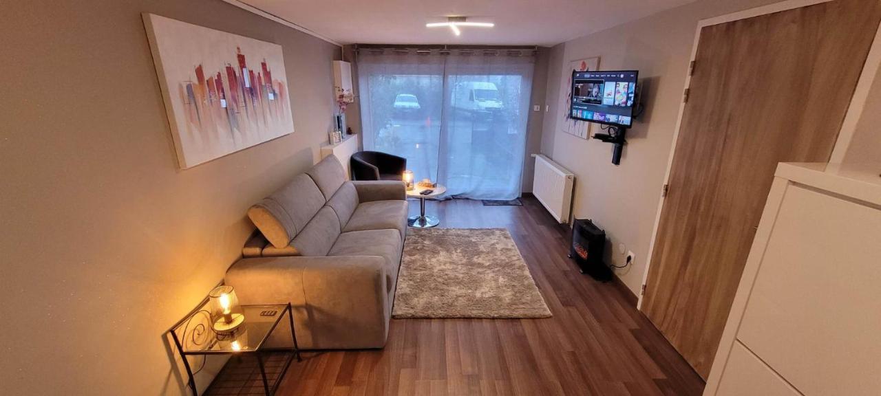 Appartement Chaleureux Avec Parking Gratuit Vandœuvre-lès-Nancy