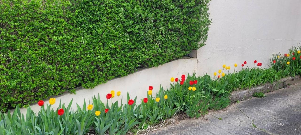 Appartement Chaleureux Avec Parking Gratuit