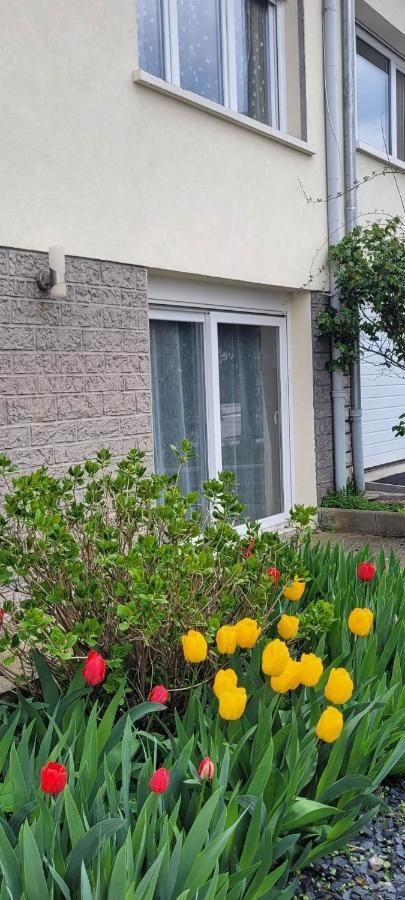 Appartement Chaleureux Avec Parking Gratuit *